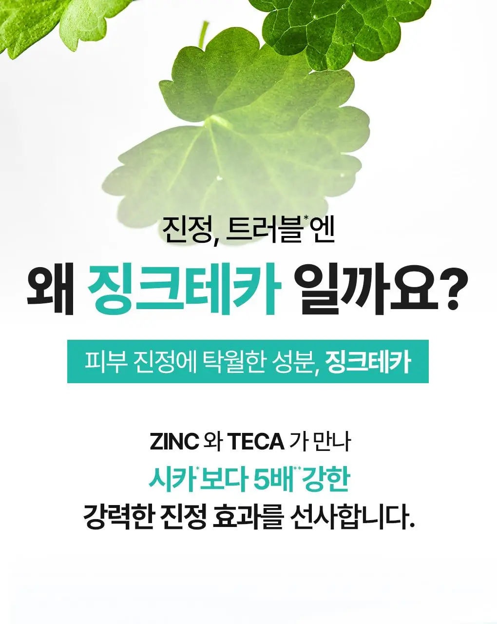 [7월올영픽/3일진정세럼]브링그린 징크테카 트러블 세럼 대용량 기획 상세페이지 34